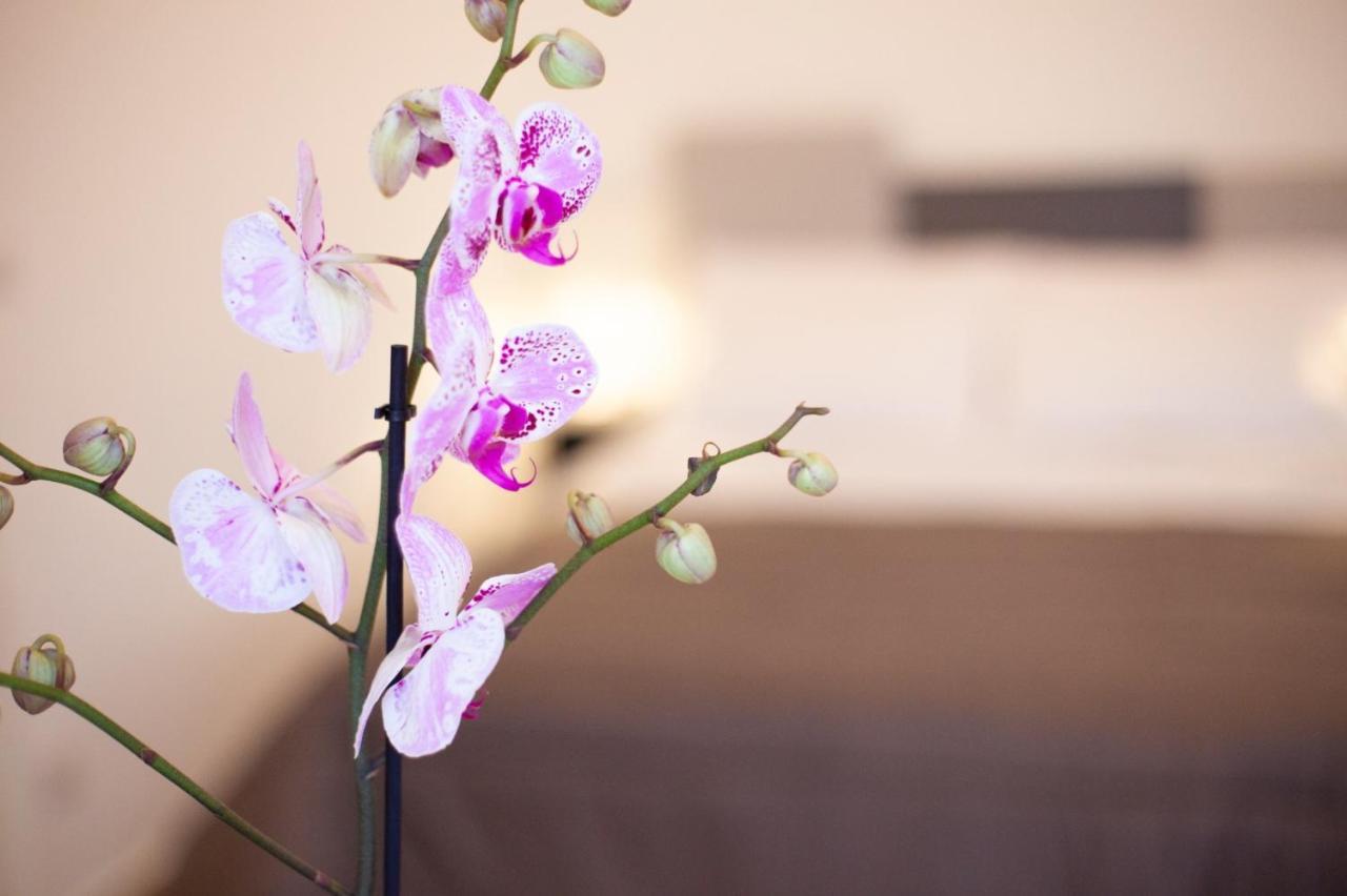 Casapaola B&B Rooms Acireale Exterior photo